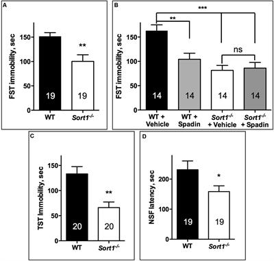 Altered Trek-1 Function in Sortilin Deficient Mice Results in Decreased Depressive-Like Behavior